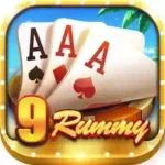 9 Rummy logo